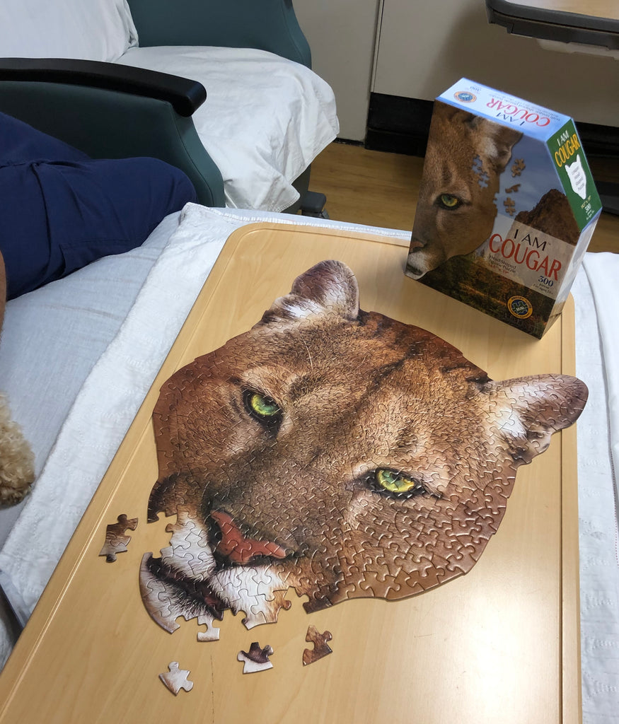 I AM COUGAR 300 – Madd Capp Games