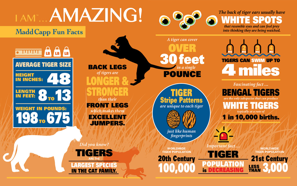I AM TIGER 1000 – Madd Capp Games