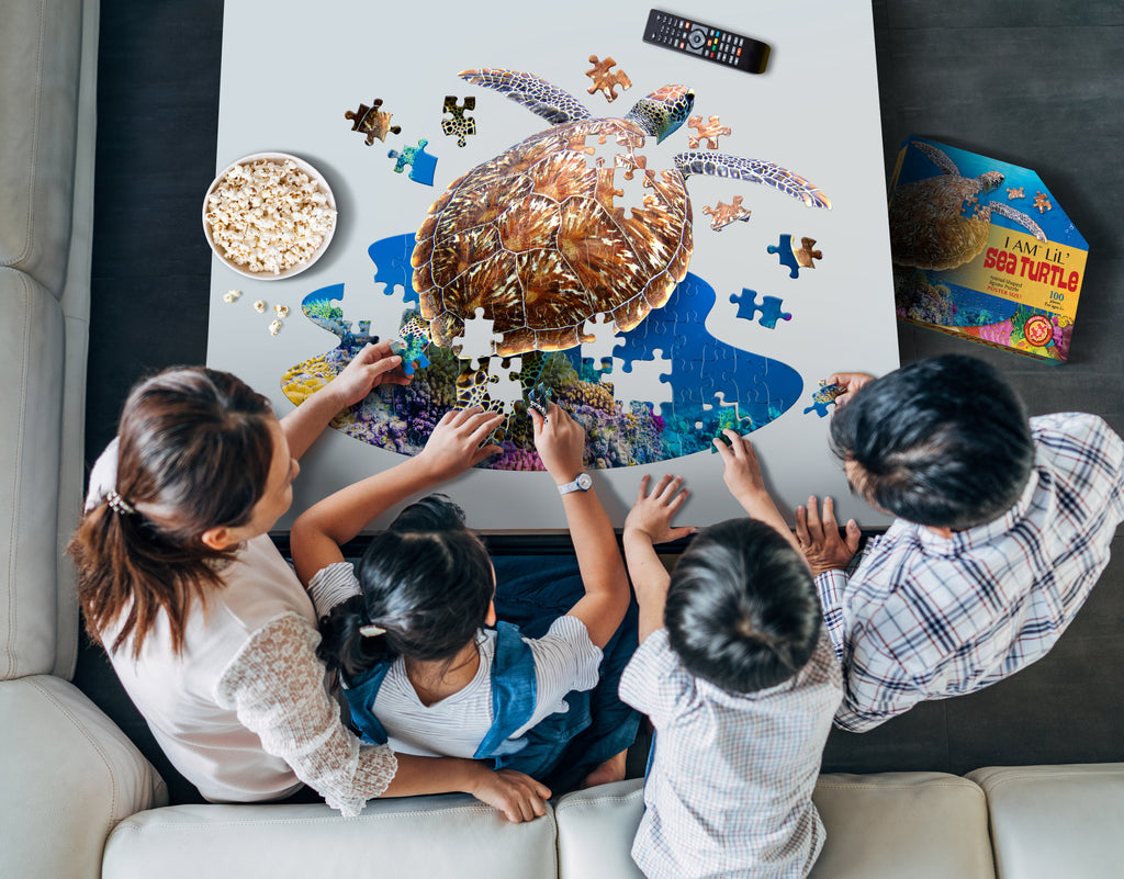 I AM LiL' SEA TURTLE 100 – Madd Capp Games