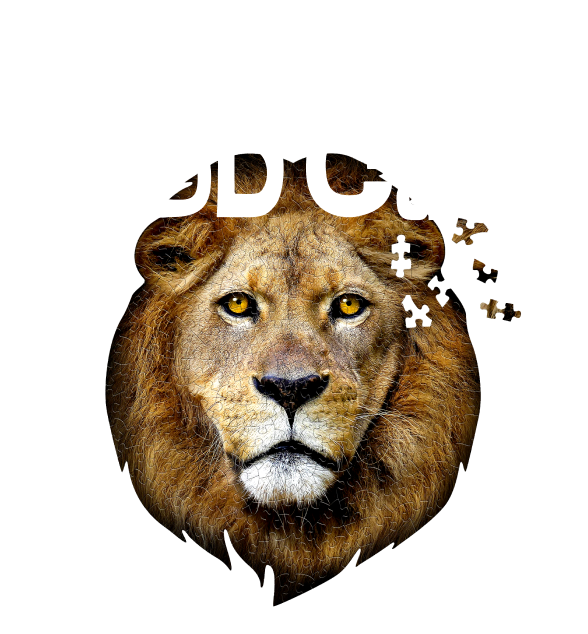 We Are Madd Capp